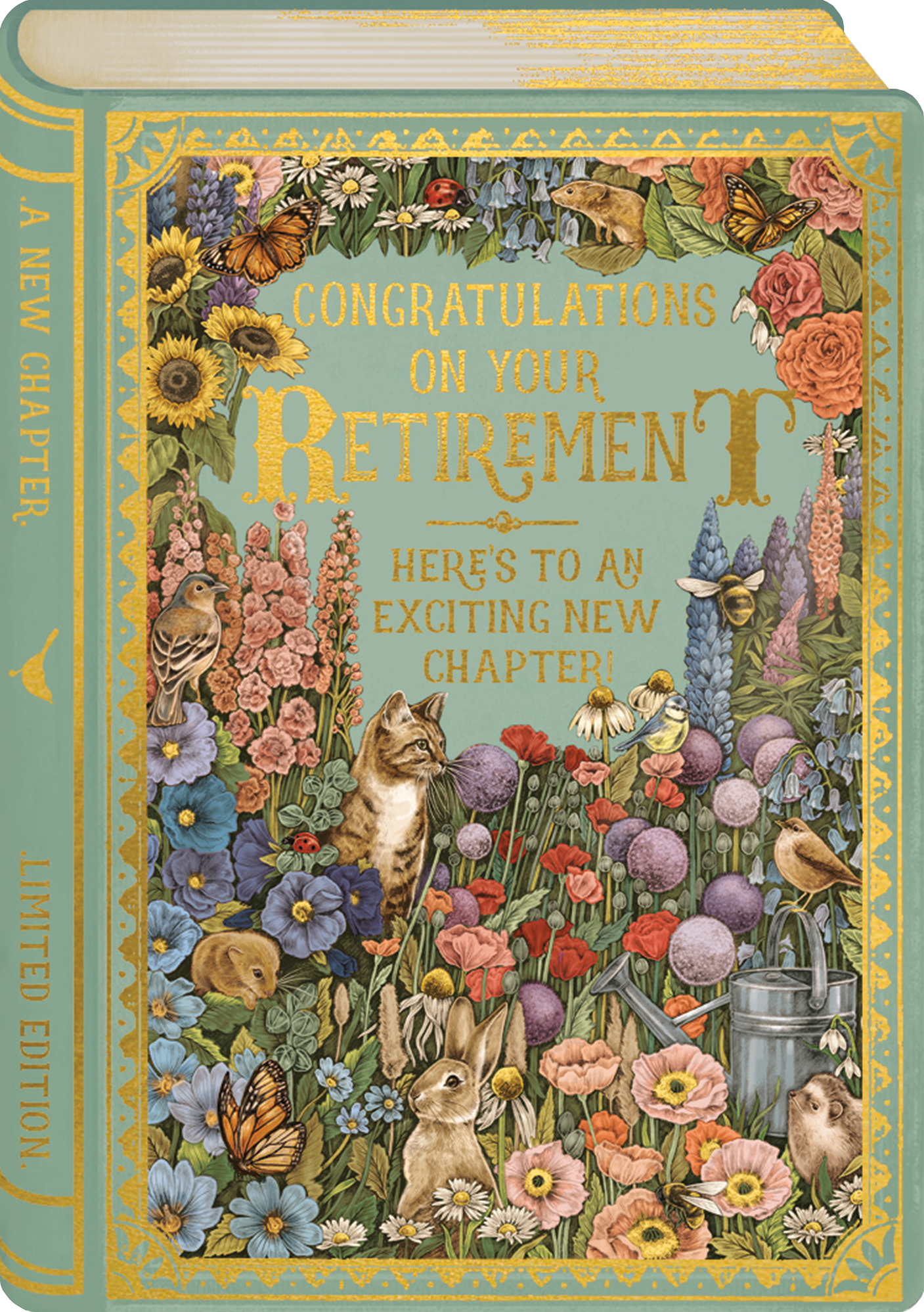 STORYBOOK CONGRATS RETIREMENT GREETING CARD ART FILE