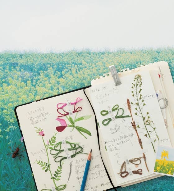 Embroidered Wild Flowers