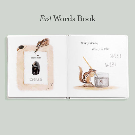 Wishy Washy Board Book by Tabitha Paige
