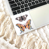 Clear Pink Swallowtail Butterfly Sticker, 3x2in - The Regal Find