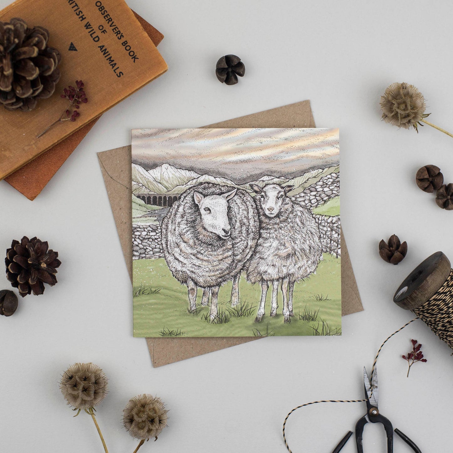 Sheep Greeting Card