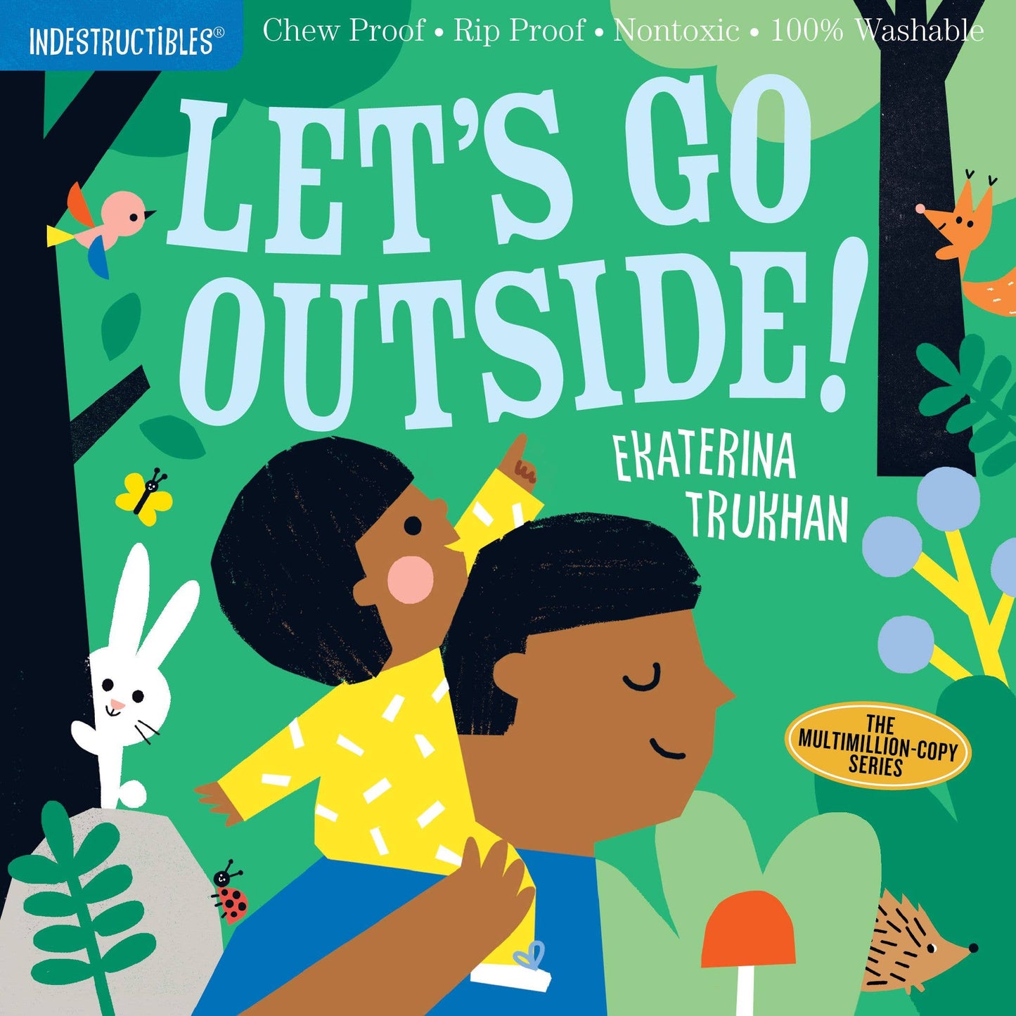 Book cover of 'Let's Go Outside!' with a child and adult outdoors, surrounded by nature.