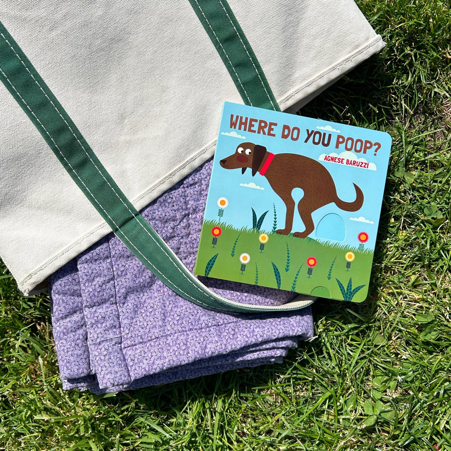 Where Do You Poop?
