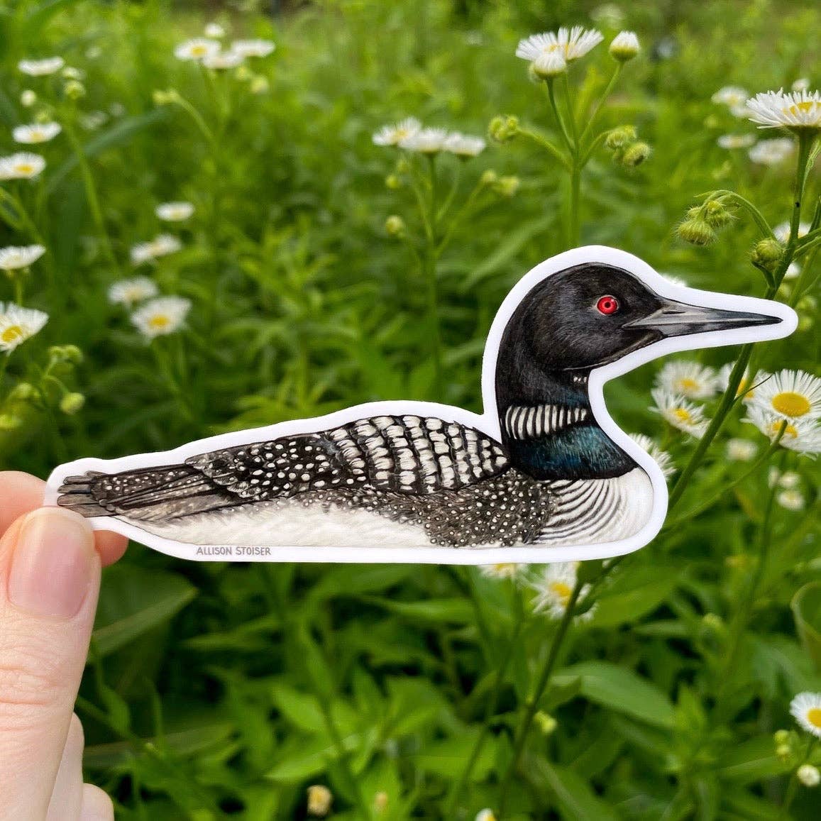 Common Loon Weatherproof Vinyl Sticker