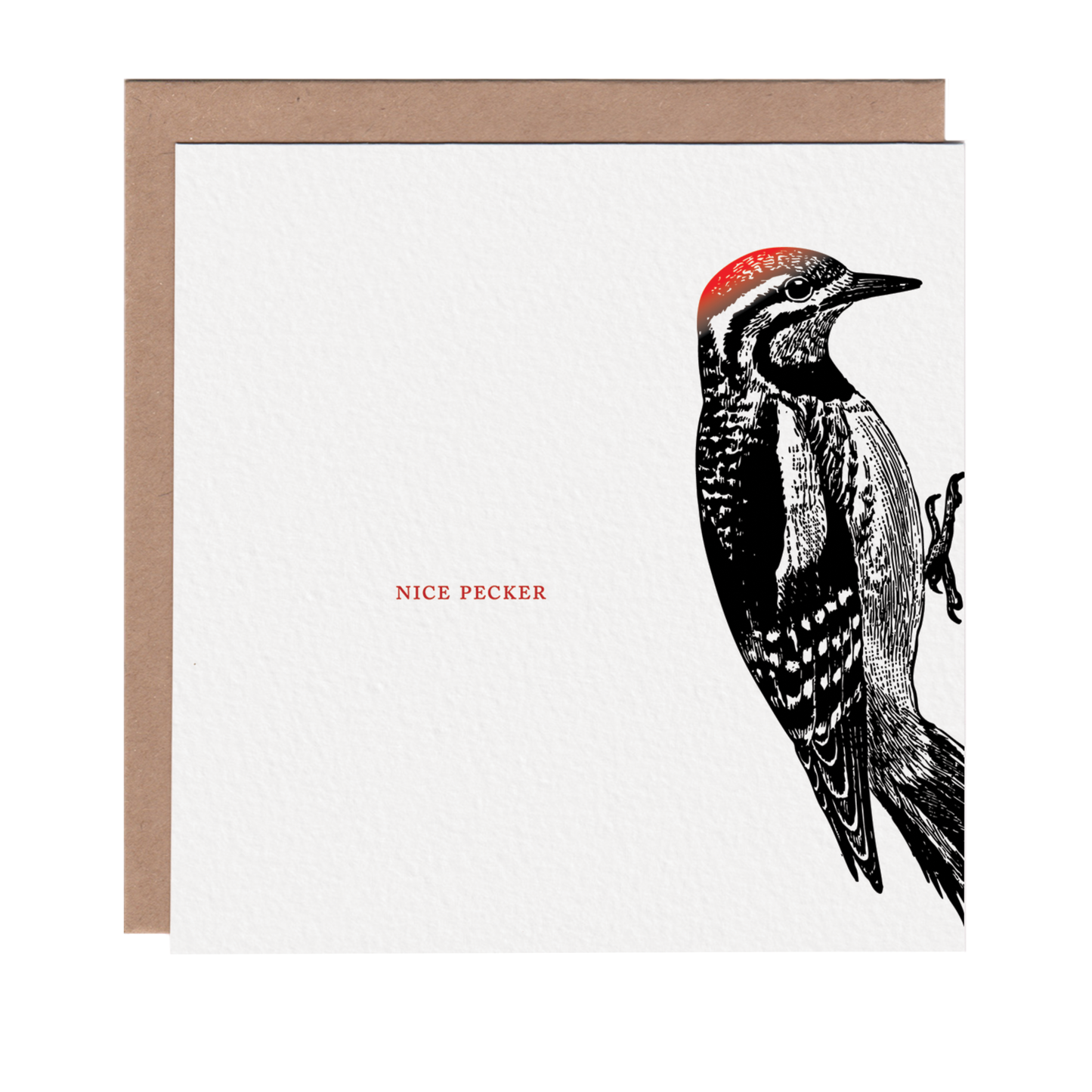 Nice Pecker Woodpecker Card
