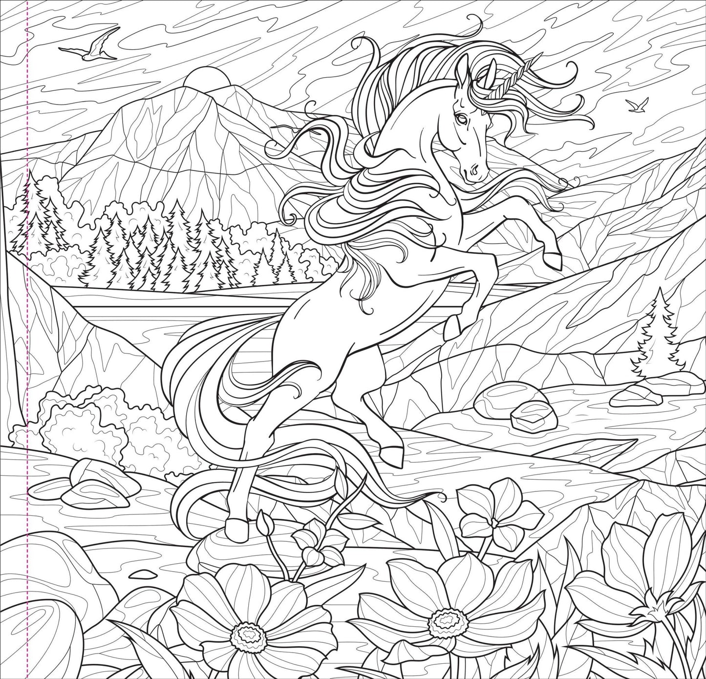 Enchanted Kingdom Adult Coloring Book - The Regal Find