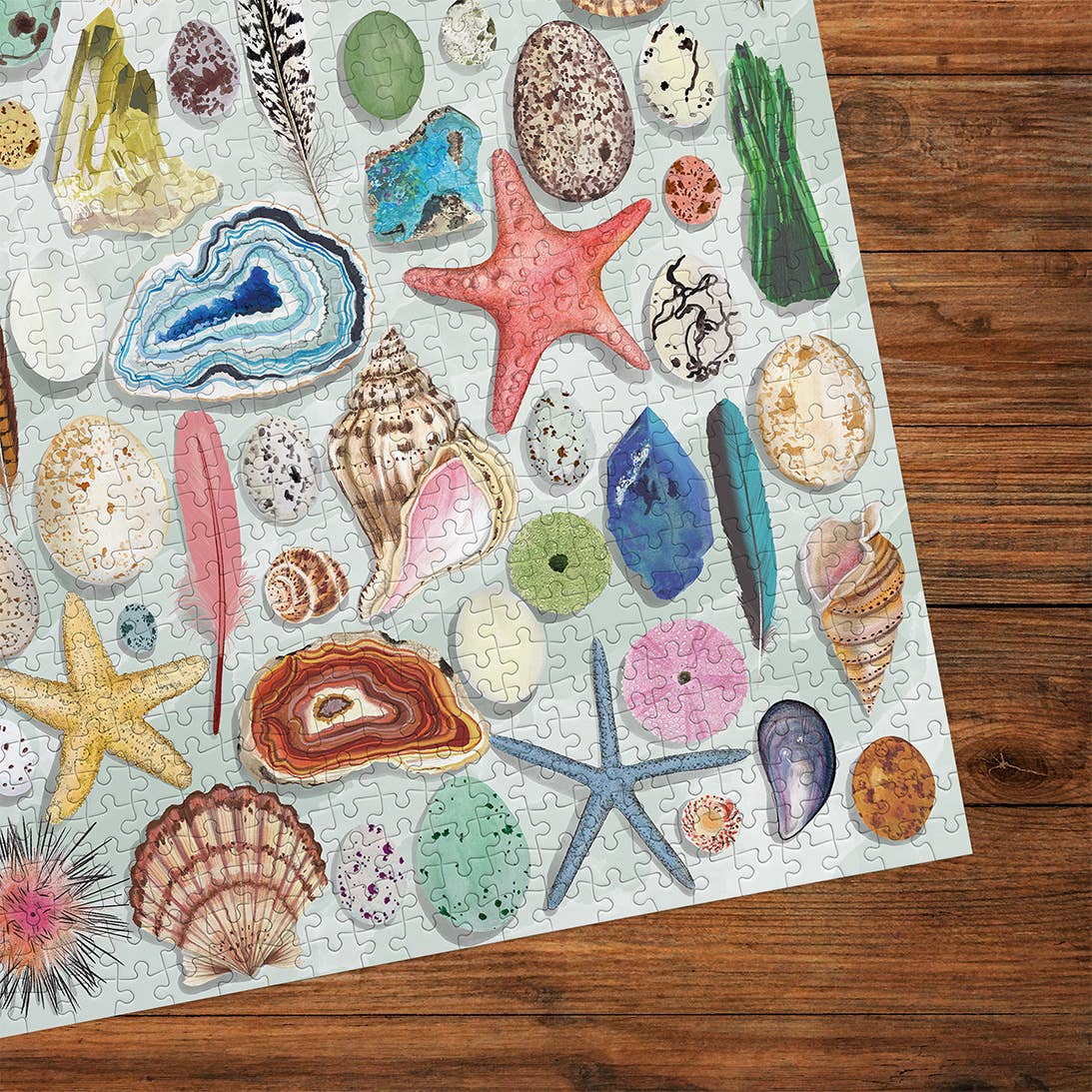 The Art File Natural Curiosities 1000 Piece Jigsaw Puzzle