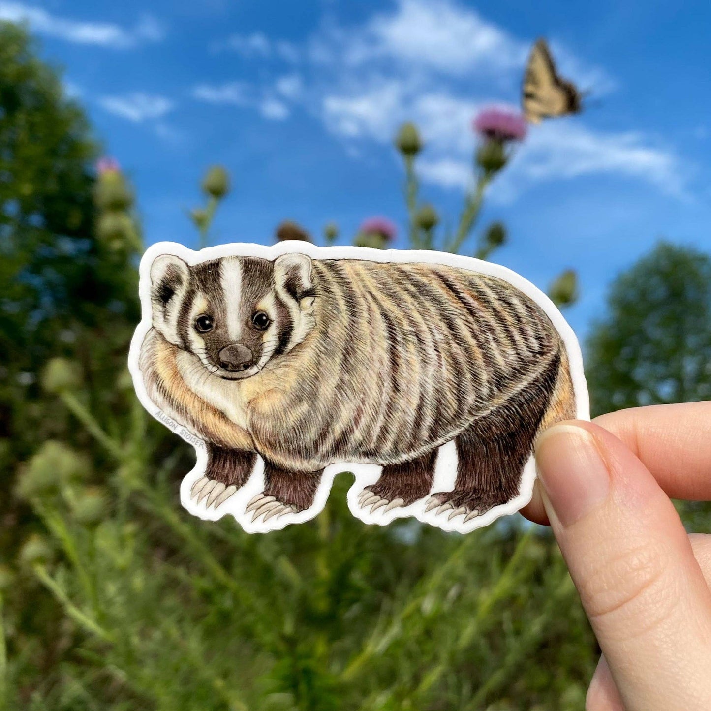 American Badger Sticker