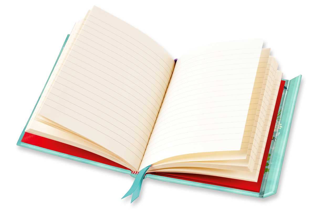 Open book with a turquoise ribbon on a white background