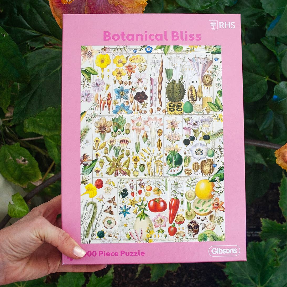 RHS Botanical Bliss 1000 Piece Puzzle