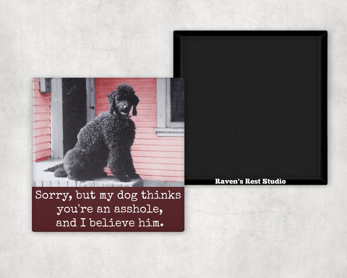 Funny Magnet. Sorry, But My Dog Thinks You're An Asshole... - The Regal Find