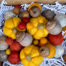 Felted Potpourri Kit - Pumpkin