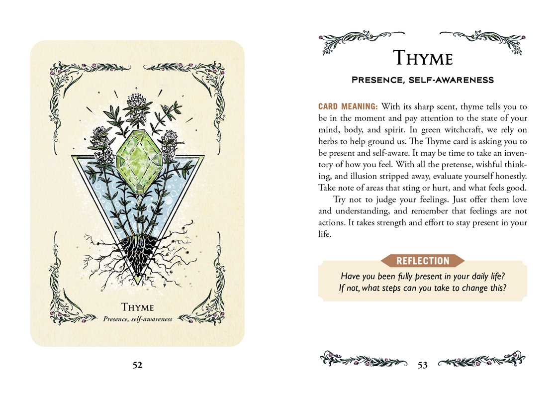 Green Witch's Oracle Deck by Arin Murphy - Hiscock: Flashcards; 100 pages / English - The Regal Find