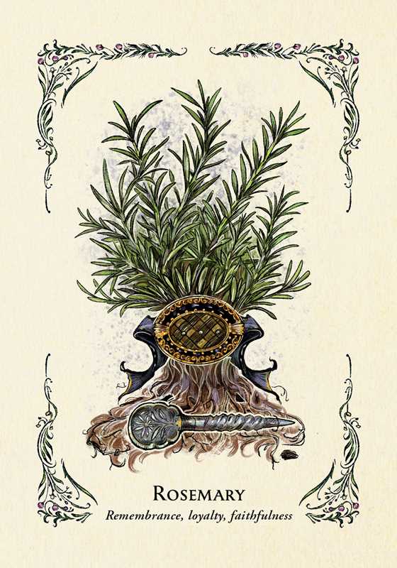Green Witch's Oracle Deck by Arin Murphy - Hiscock: Flashcards; 100 pages / English - The Regal Find