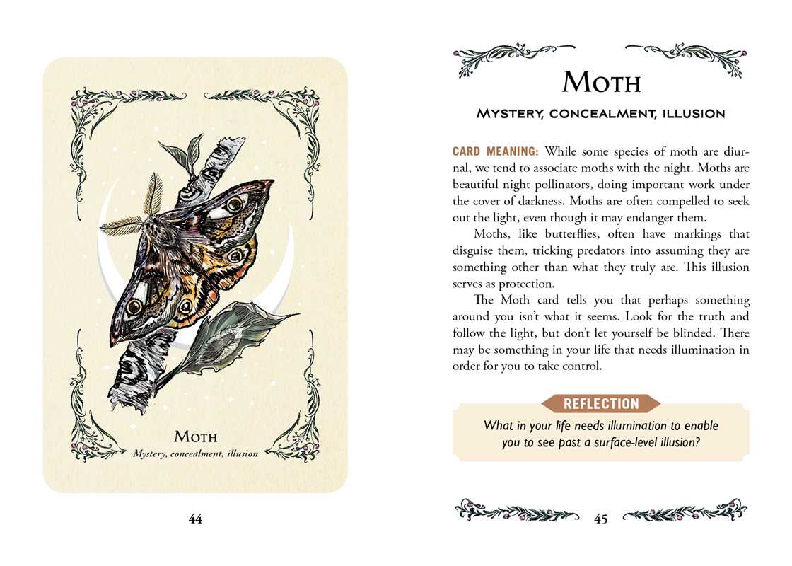 Green Witch's Oracle Deck by Arin Murphy - Hiscock: Flashcards; 100 pages / English - The Regal Find