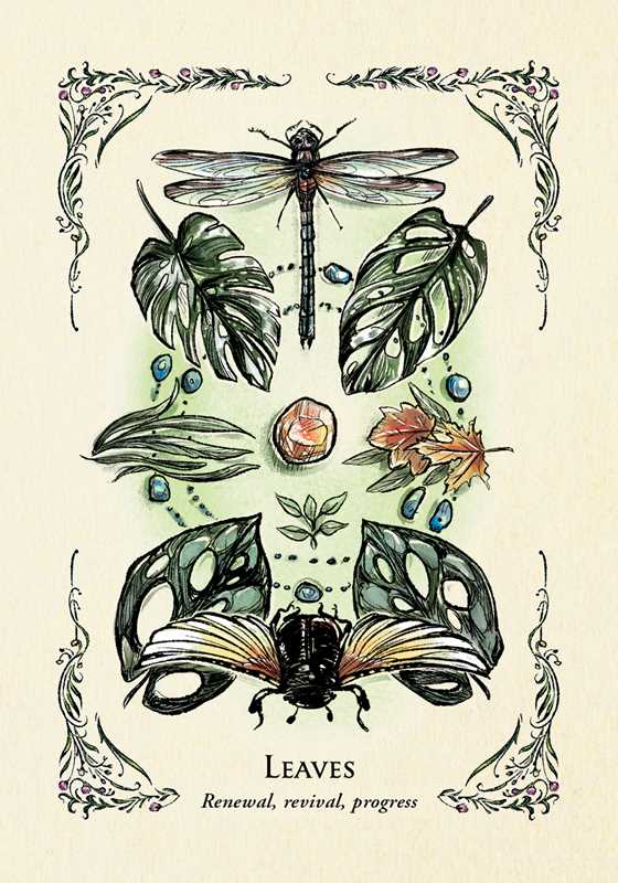 Green Witch's Oracle Deck by Arin Murphy - Hiscock: Flashcards; 100 pages / English - The Regal Find