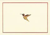 Hummingbird Flight Note Cards - The Regal Find