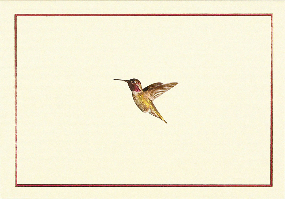 Hummingbird Flight Note Cards - The Regal Find