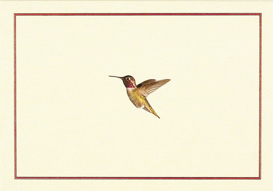 Hummingbird Flight Note Cards - The Regal Find
