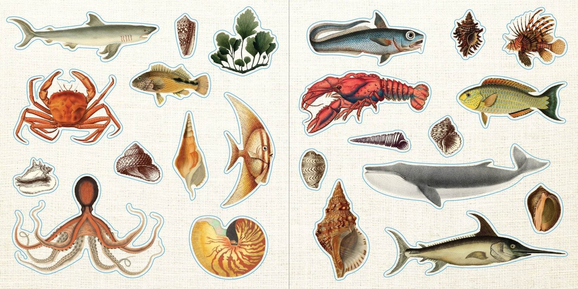 Loads of Ephemera Sticker Book (580 stickers) - The Regal Find