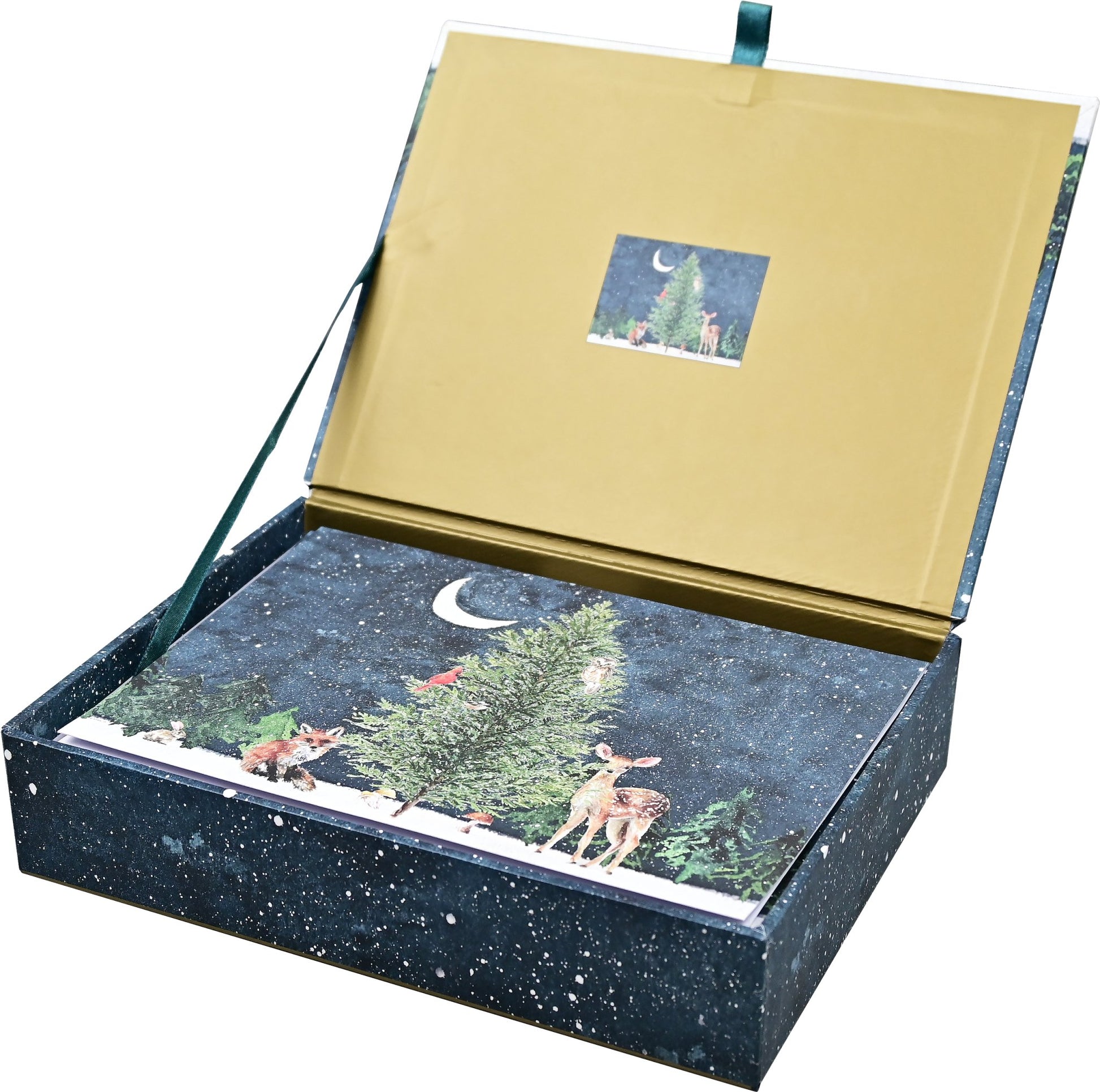 Moonlit Forest Friends Deluxe Boxed Holiday Cards - The Regal Find
