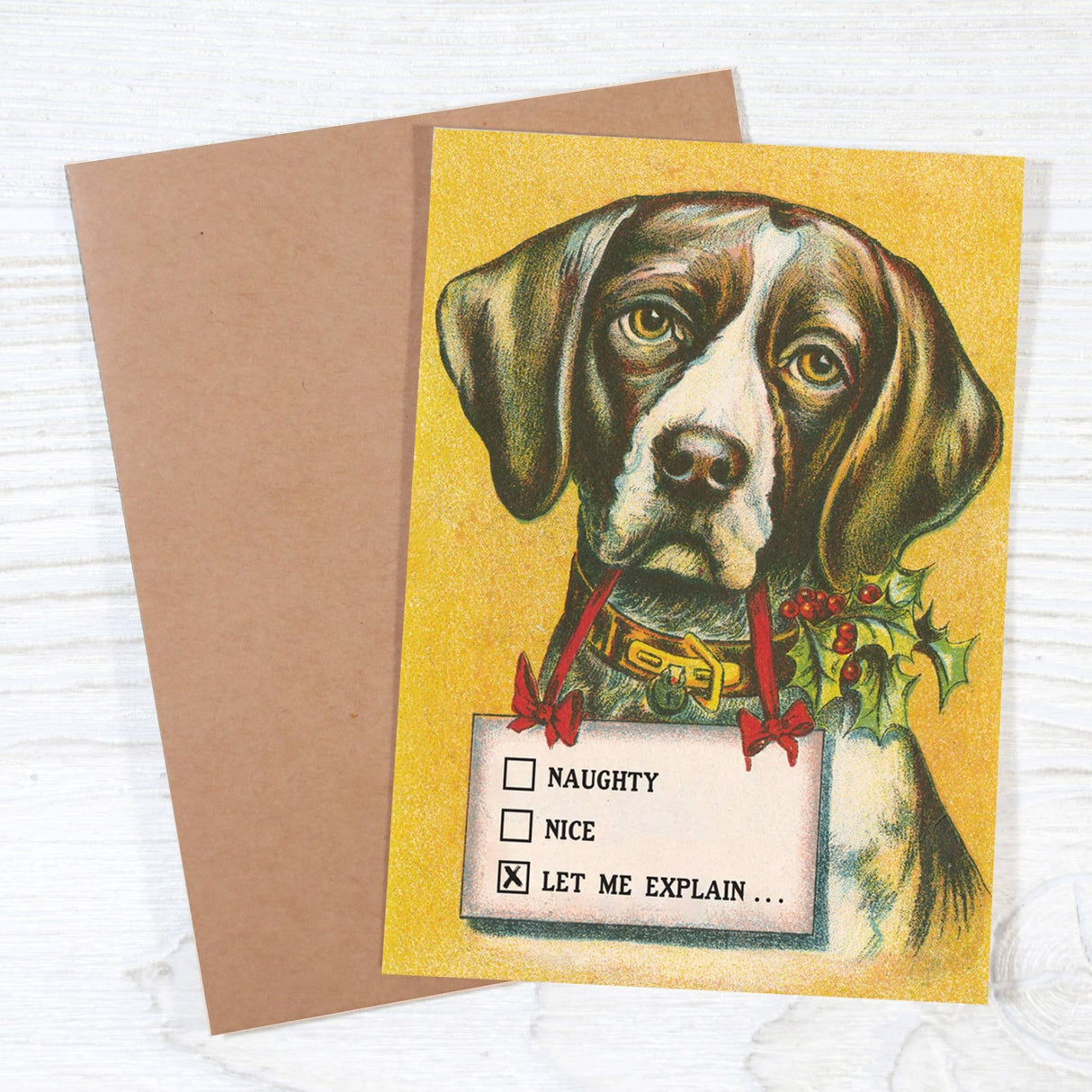 Naughty • Nice • Let Me Explain - Dog Lover's Christmas Card - The Regal Find