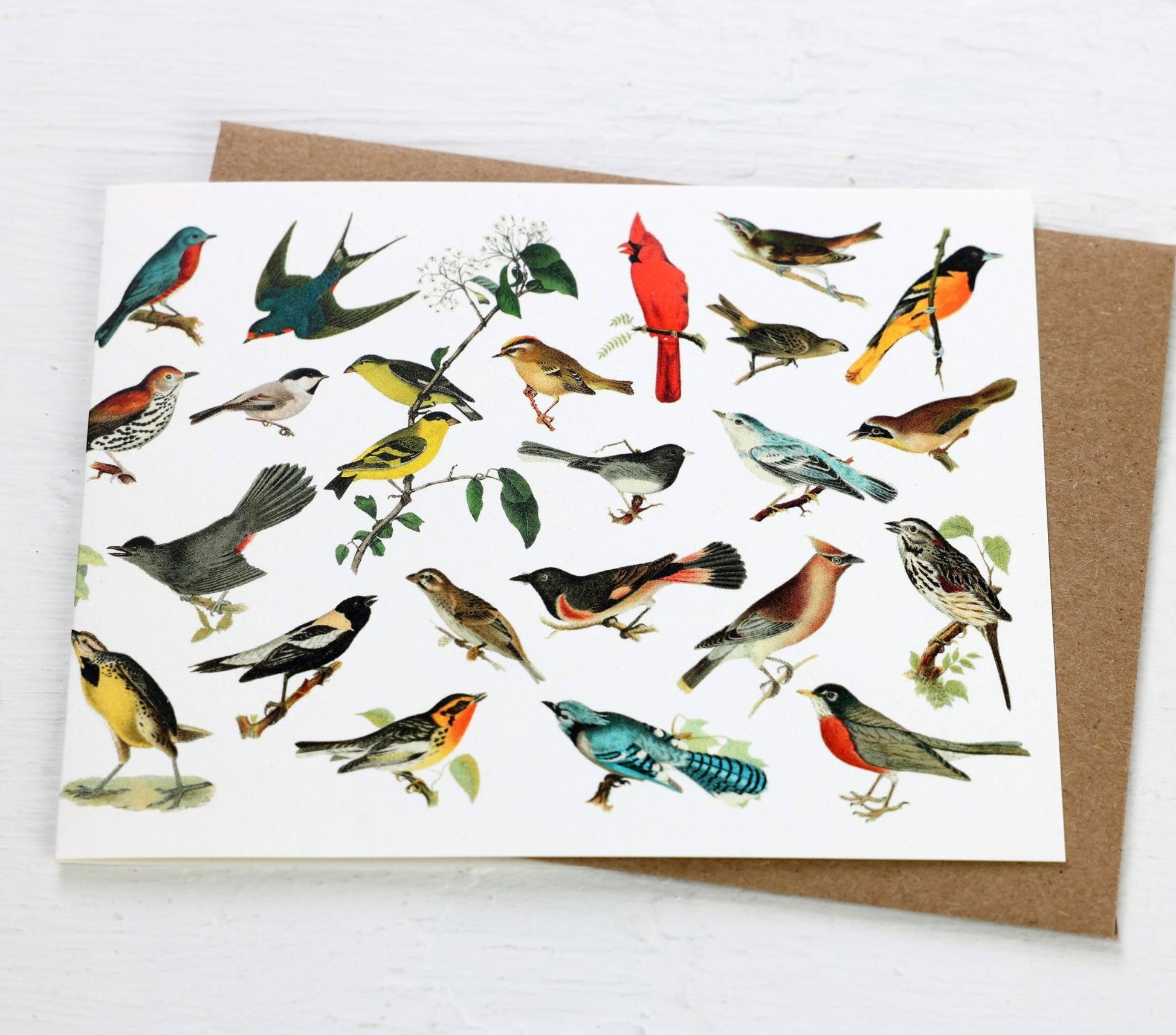 North American Songbirds Card - The Regal Find