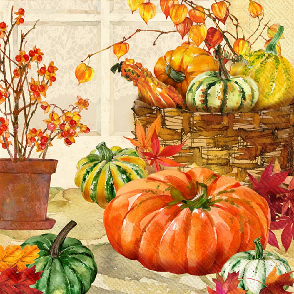 Paper Cocktail Napkins Pack of 20 Heirloom Pumpkins Fall - The Regal Find