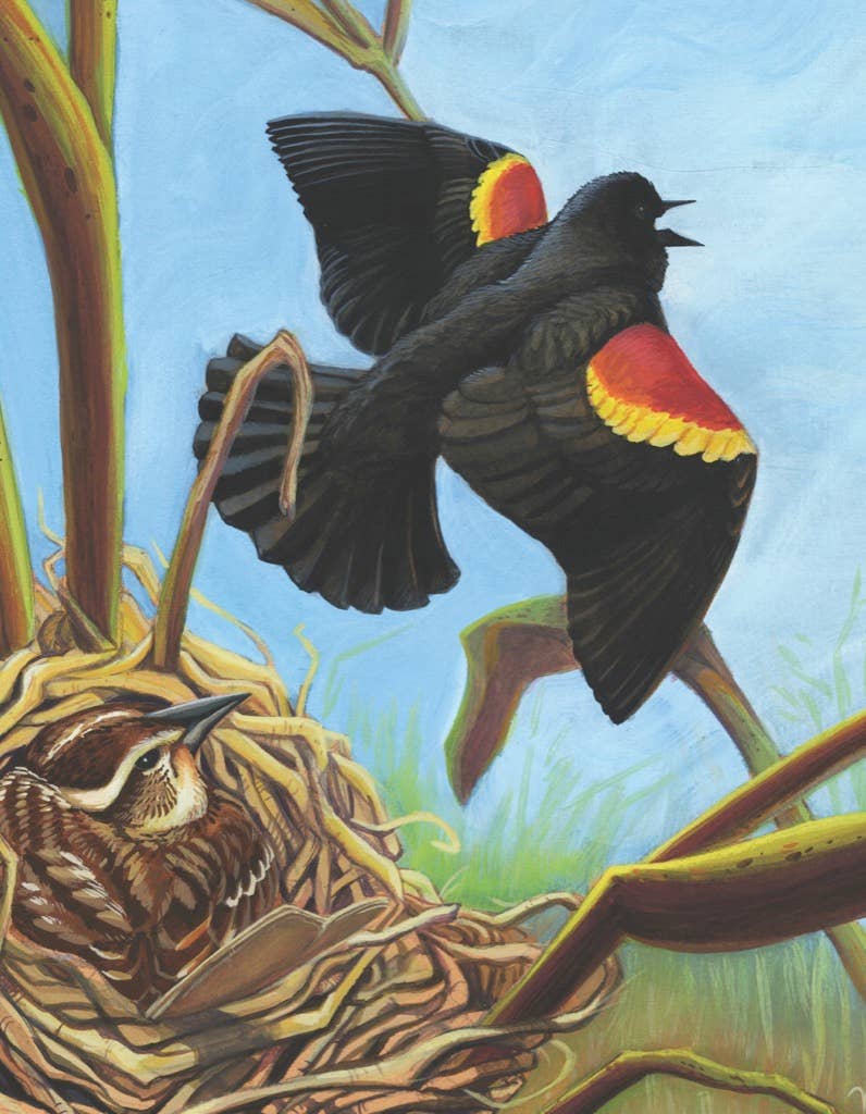 Red - winged Blackbird Mini - 100 Piece Mini Puzzle - The Regal Find