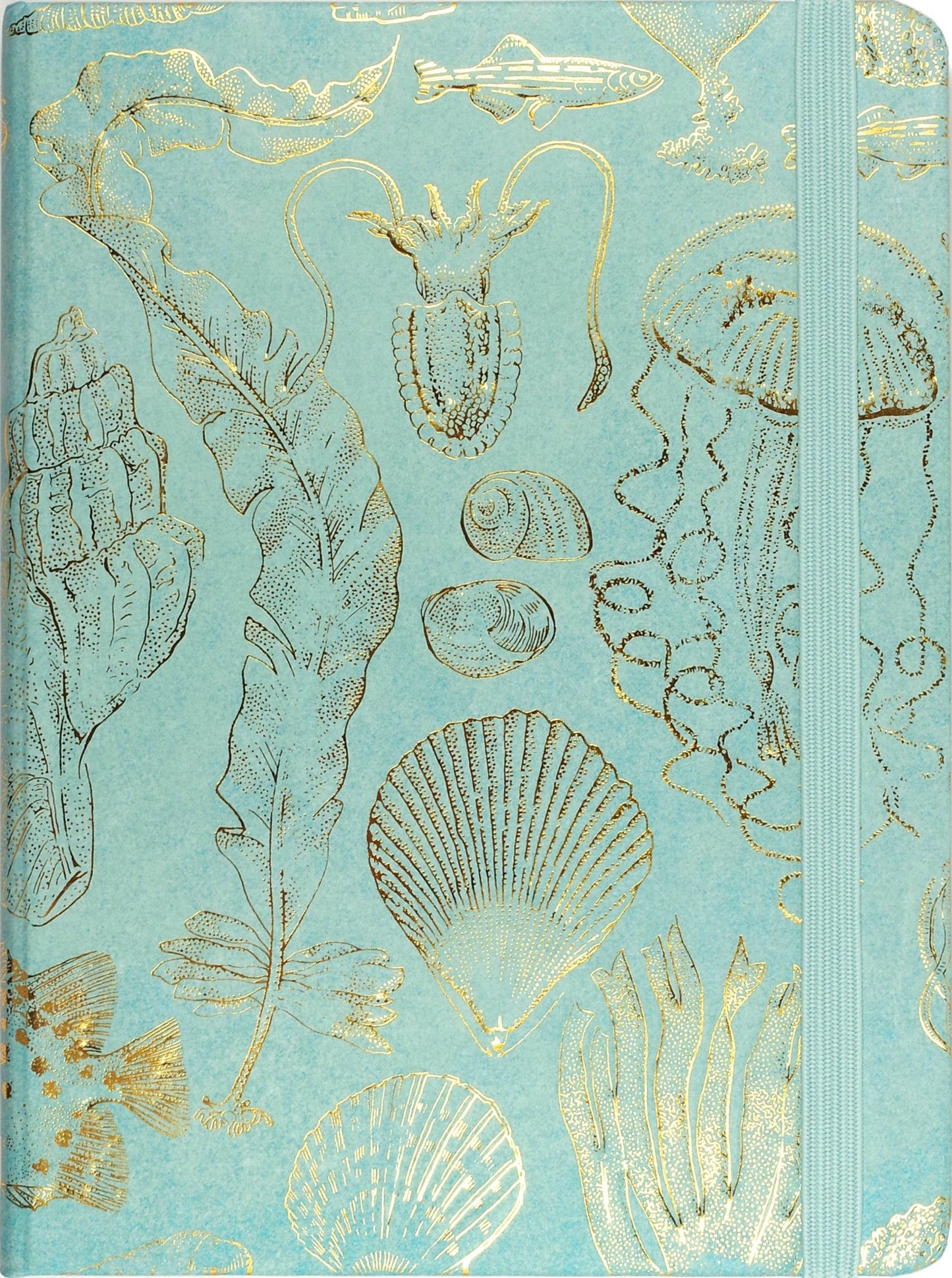 Sealife Sketches Journal - The Regal Find
