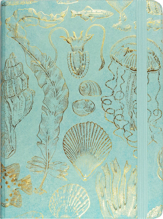 Sealife Sketches Journal - The Regal Find