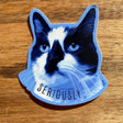 Serious Cat funny animal sticker - The Regal Find