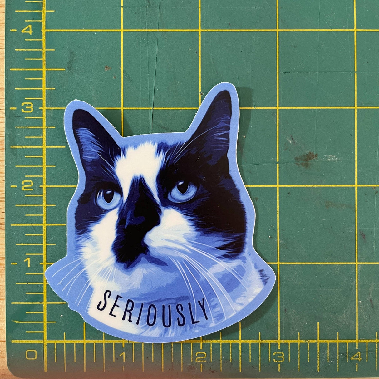 Serious Cat funny animal sticker - The Regal Find