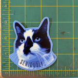 Serious Cat funny animal sticker - The Regal Find