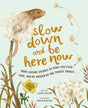 Slow Down and Be Here Now - The Regal Find