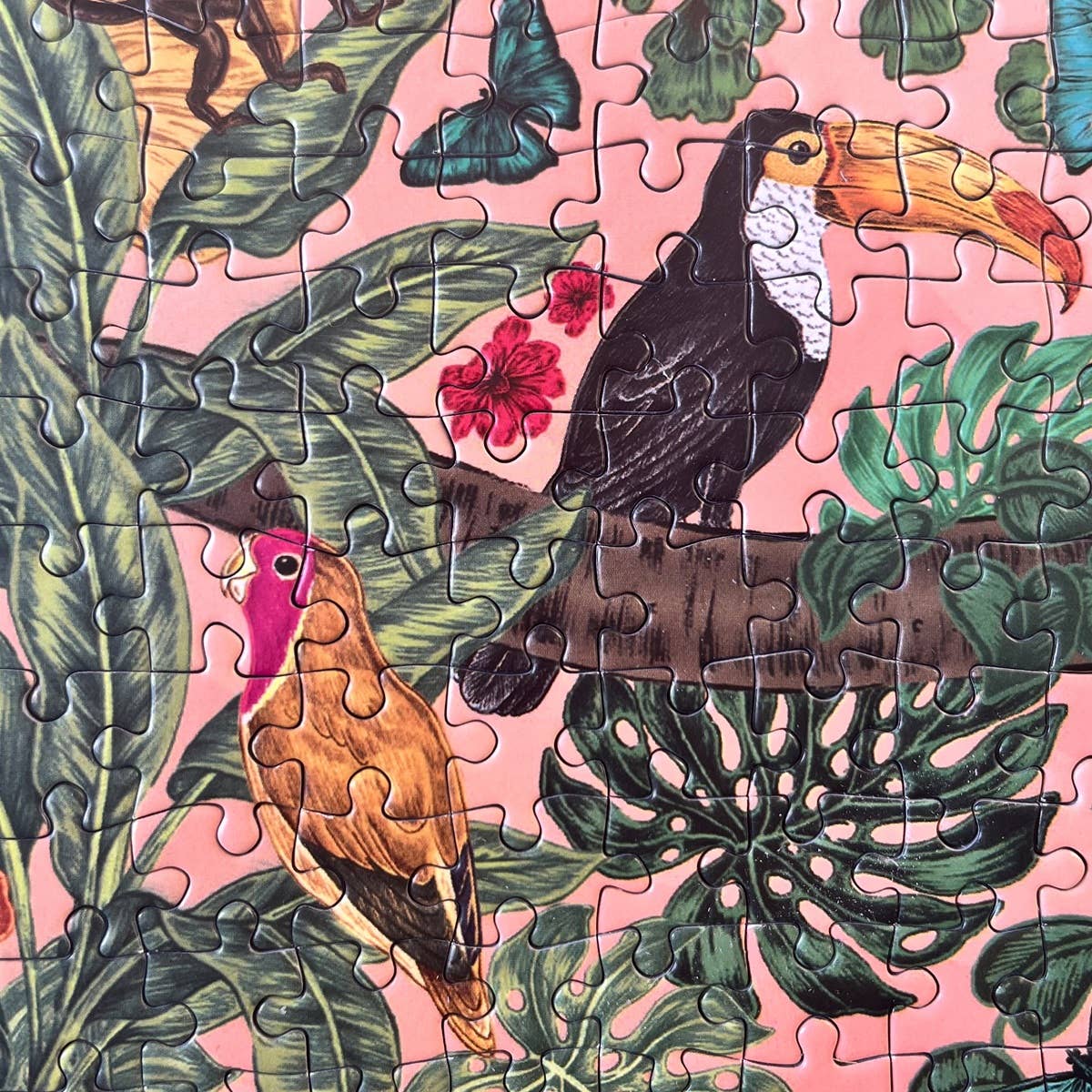 Soleil - 1000 Piece Jigsaw Puzzle - The Regal Find