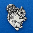 Squirrel G Nuts Coin - The Regal Find