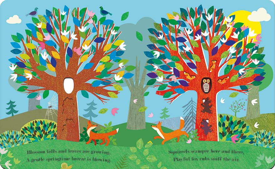 Tree: A Peek - Through Board Book - The Regal Find