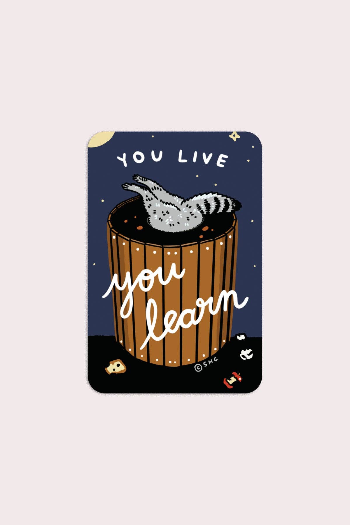 You Live You Learn Vinyl Sticker - The Regal Find