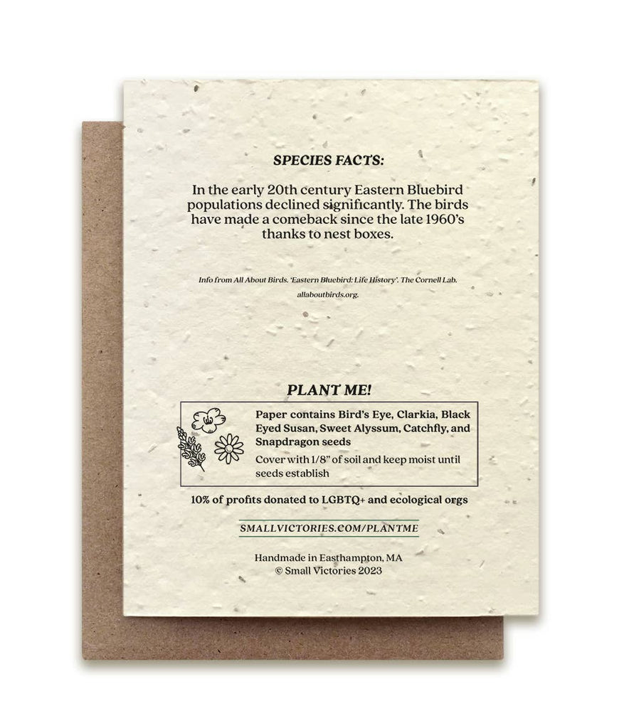 Bluebird Plantable Wildflower Seed Card: No Sleeves - The Regal Find