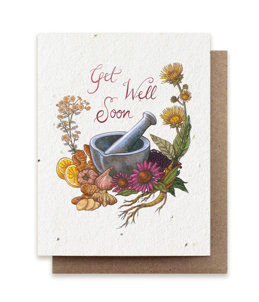 Get Well Soon Plantable Herb Seed Card - The Regal Find