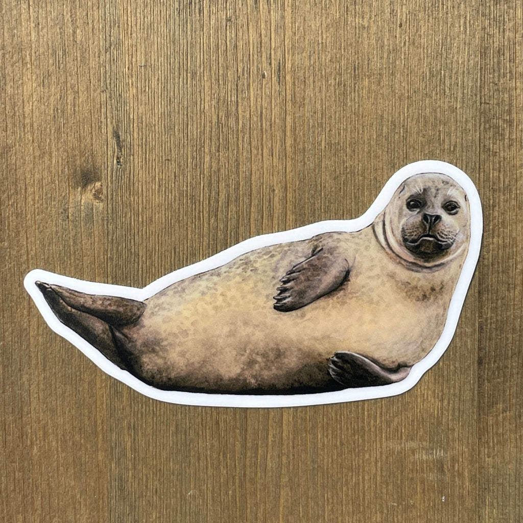 Harbor Seal Vinyl STICKER - The Regal Find