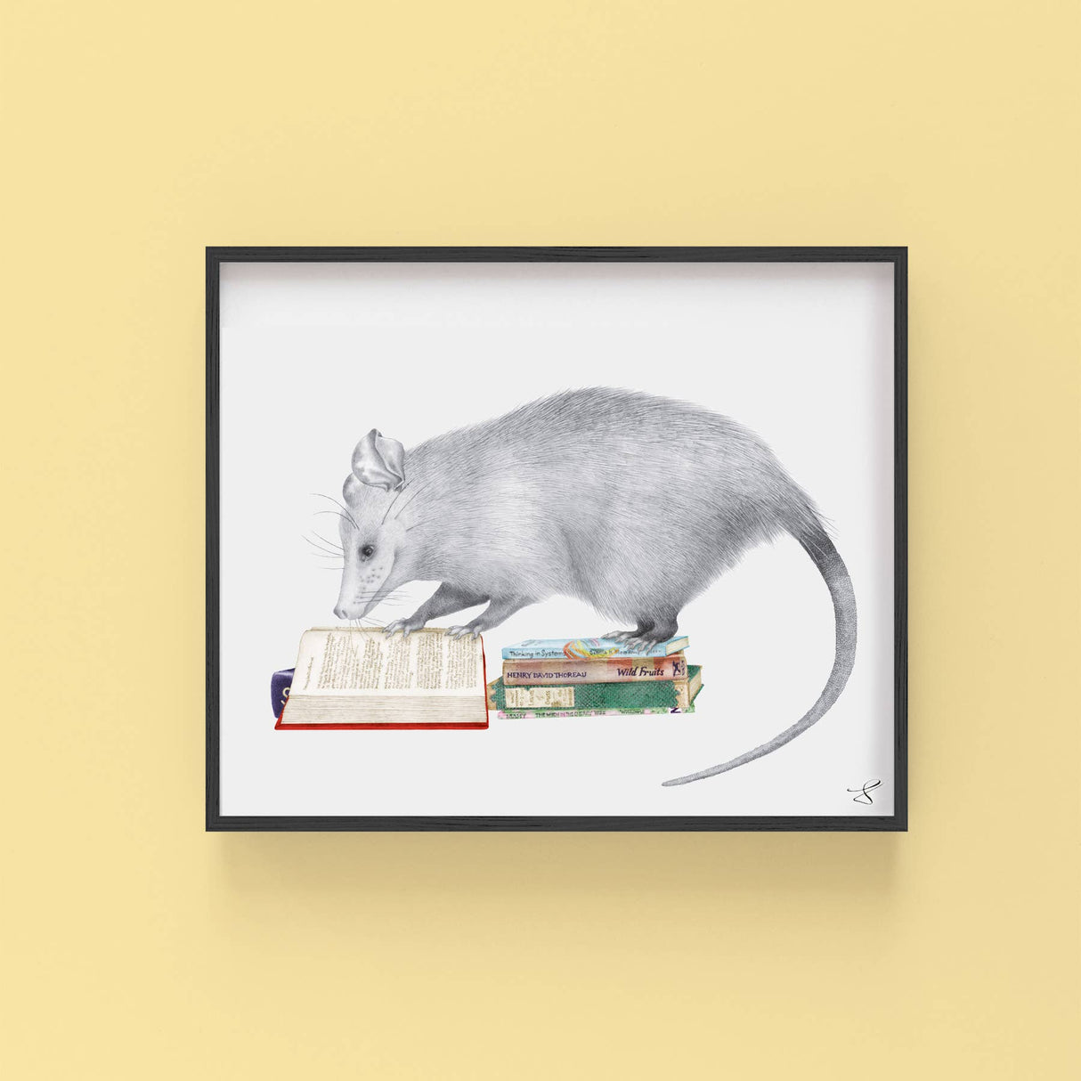 Henry Gossamer Opossum Art Print - The Regal Find