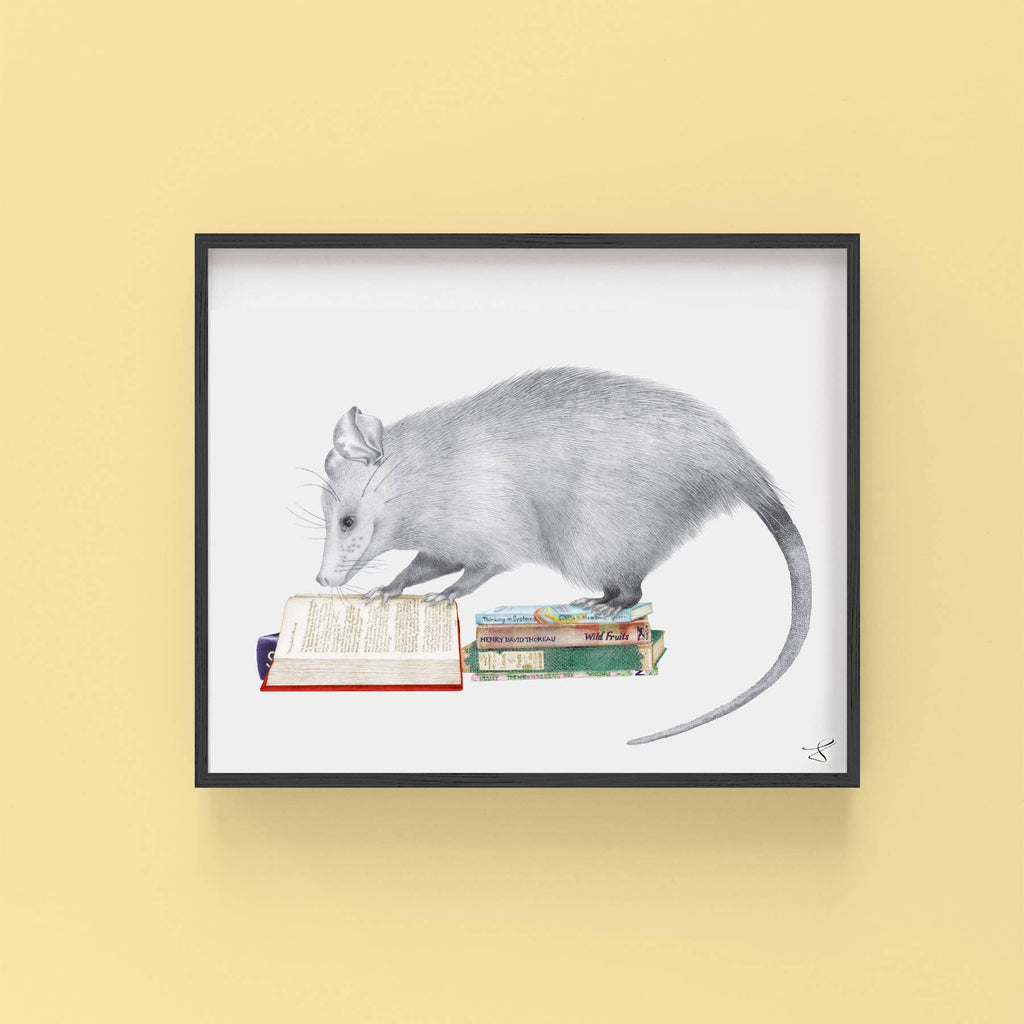 Henry Gossamer Opossum Art Print - The Regal Find
