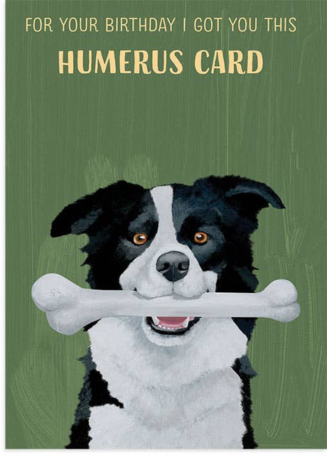 Humerus Dog - The Regal Find