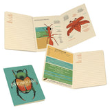 Insect (Entomology) Notebook - The Regal Find