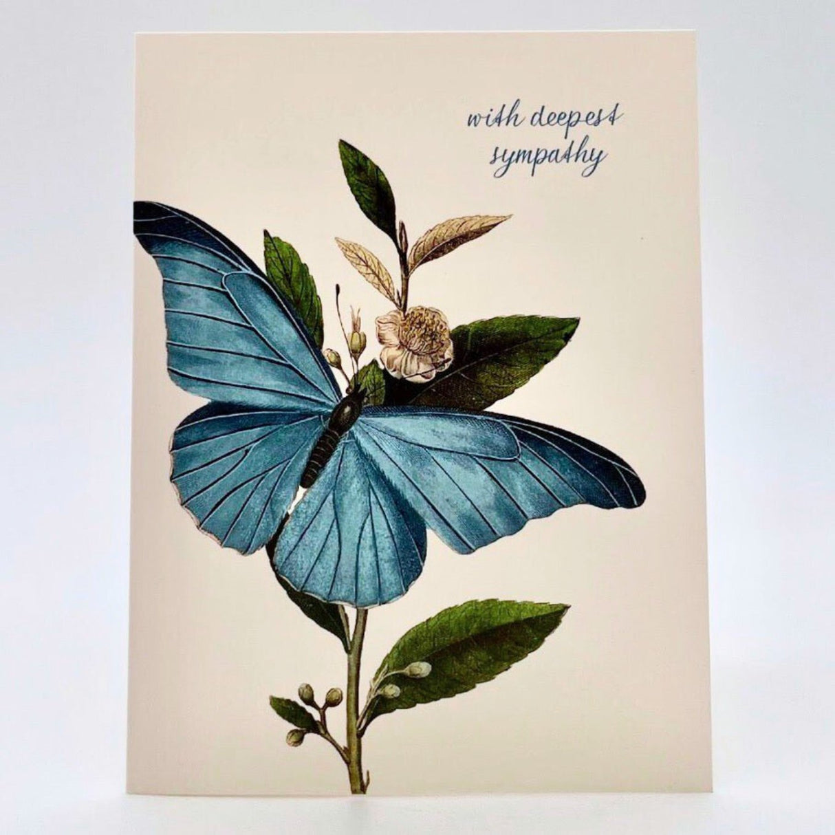 With Deepest Sympathy Card - The Regal Find